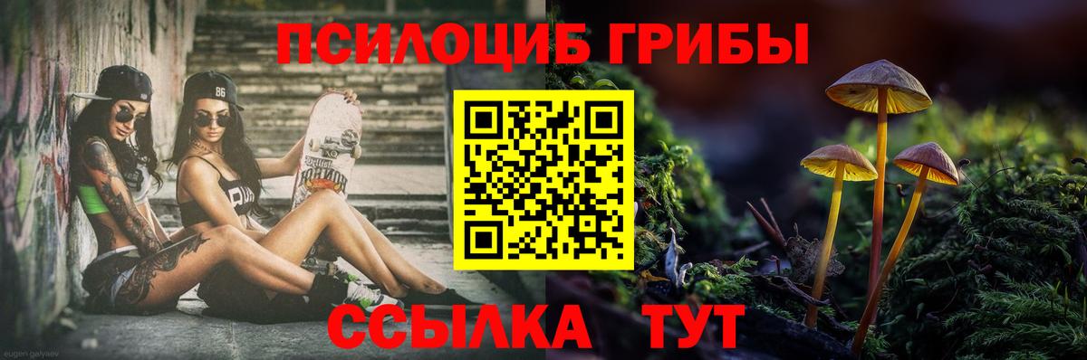 Галлюциногенные грибы MAGIC MUSHROOMS Кувандык